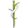 Logo Dr. med. Sascha Aleksic
